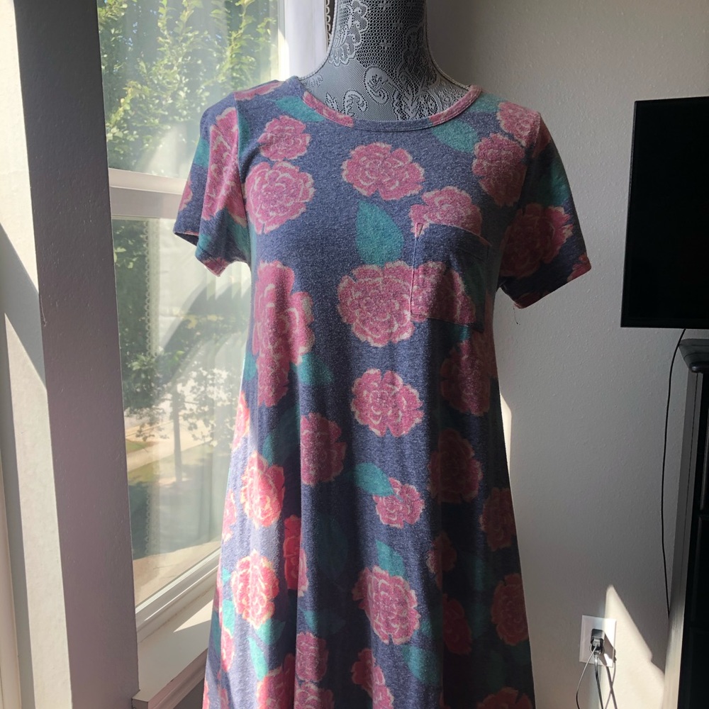 Lularoe Carly dress